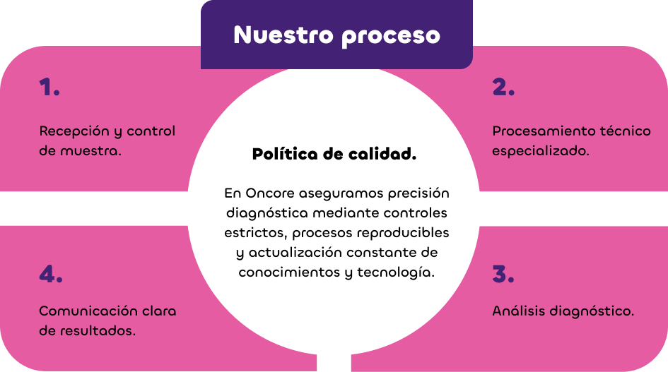 Nuestro proceso