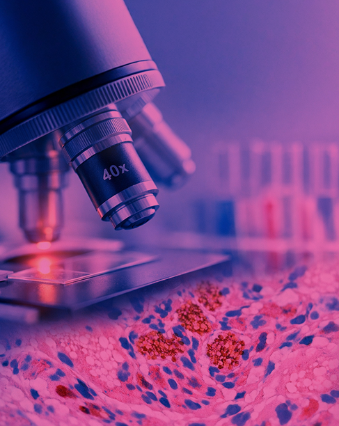 Especialidad en Inmunohistoquímica